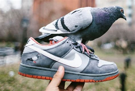 He is the same designer who created the authentic Nike SB Pigeon Dunk series from 2005. . Pigen dunks